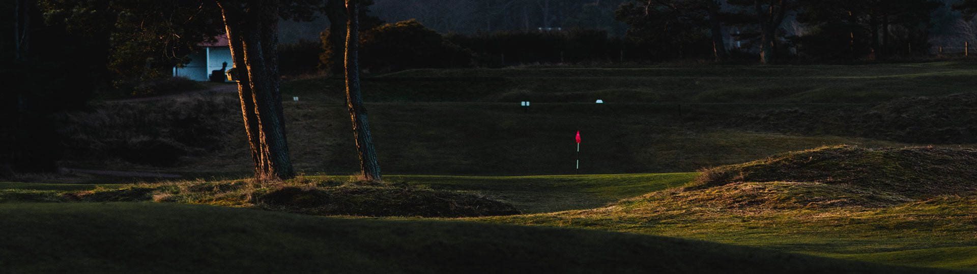 Driver & Fairway Woods - Fyfe Golf