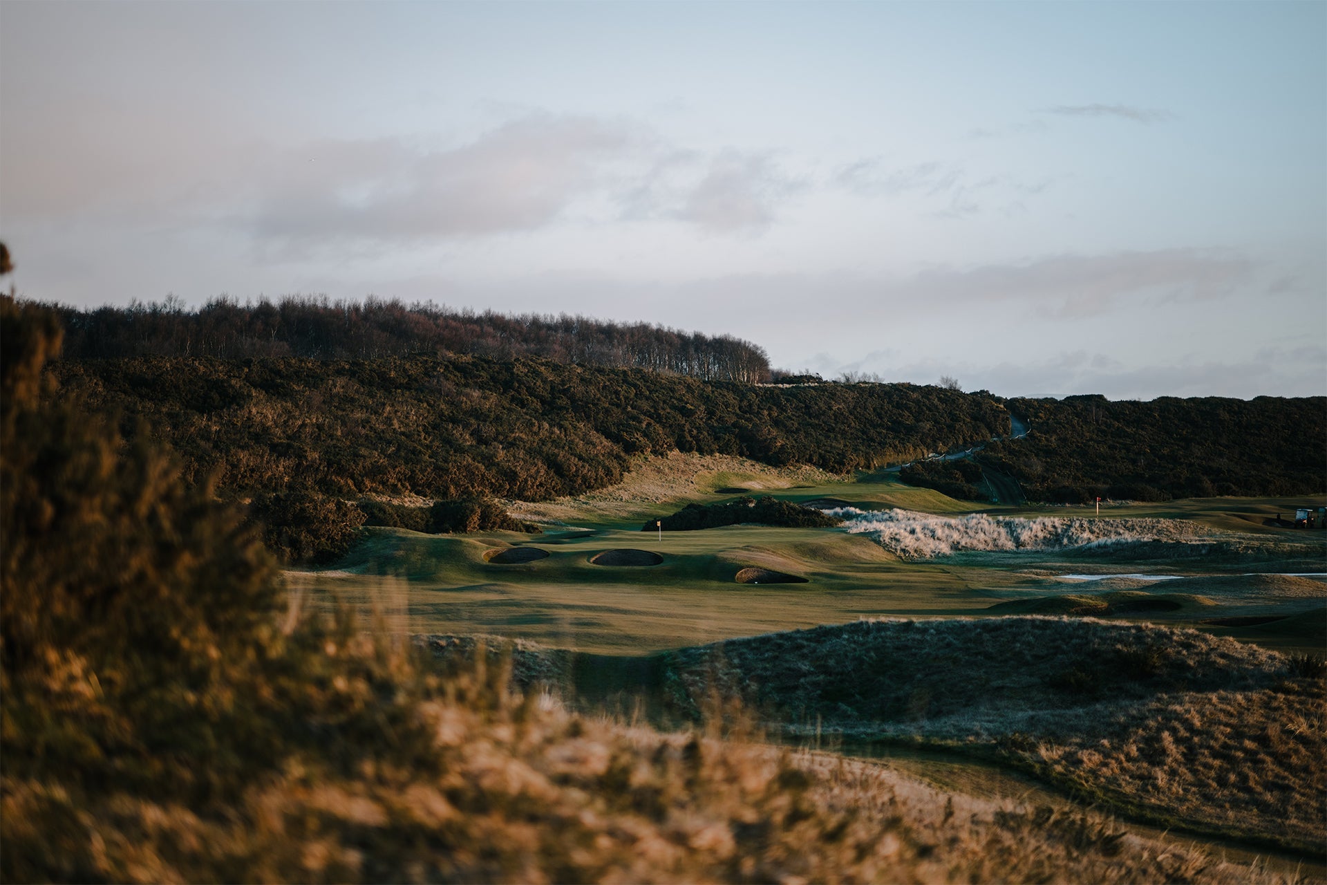 Driver & Fairway Woods - Fyfe Golf