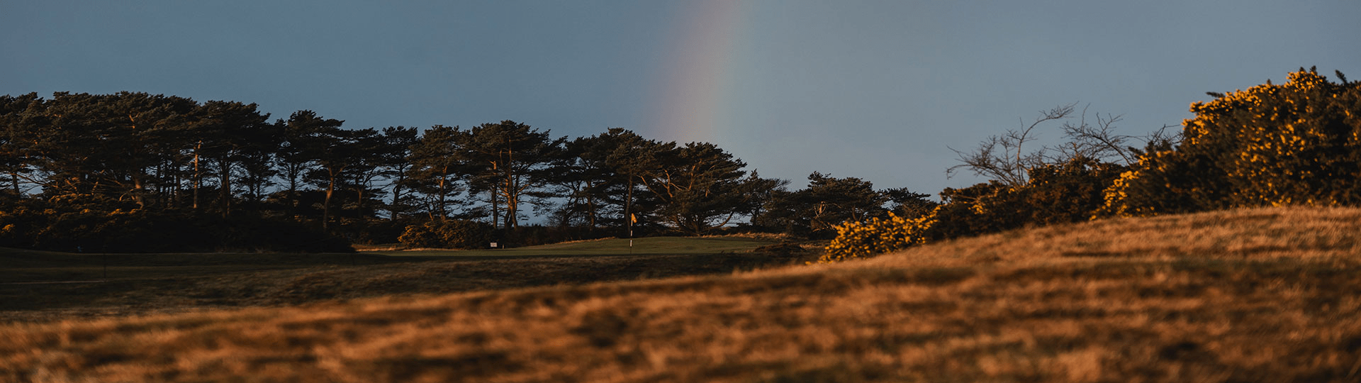 Giftcard - Fyfe Golf