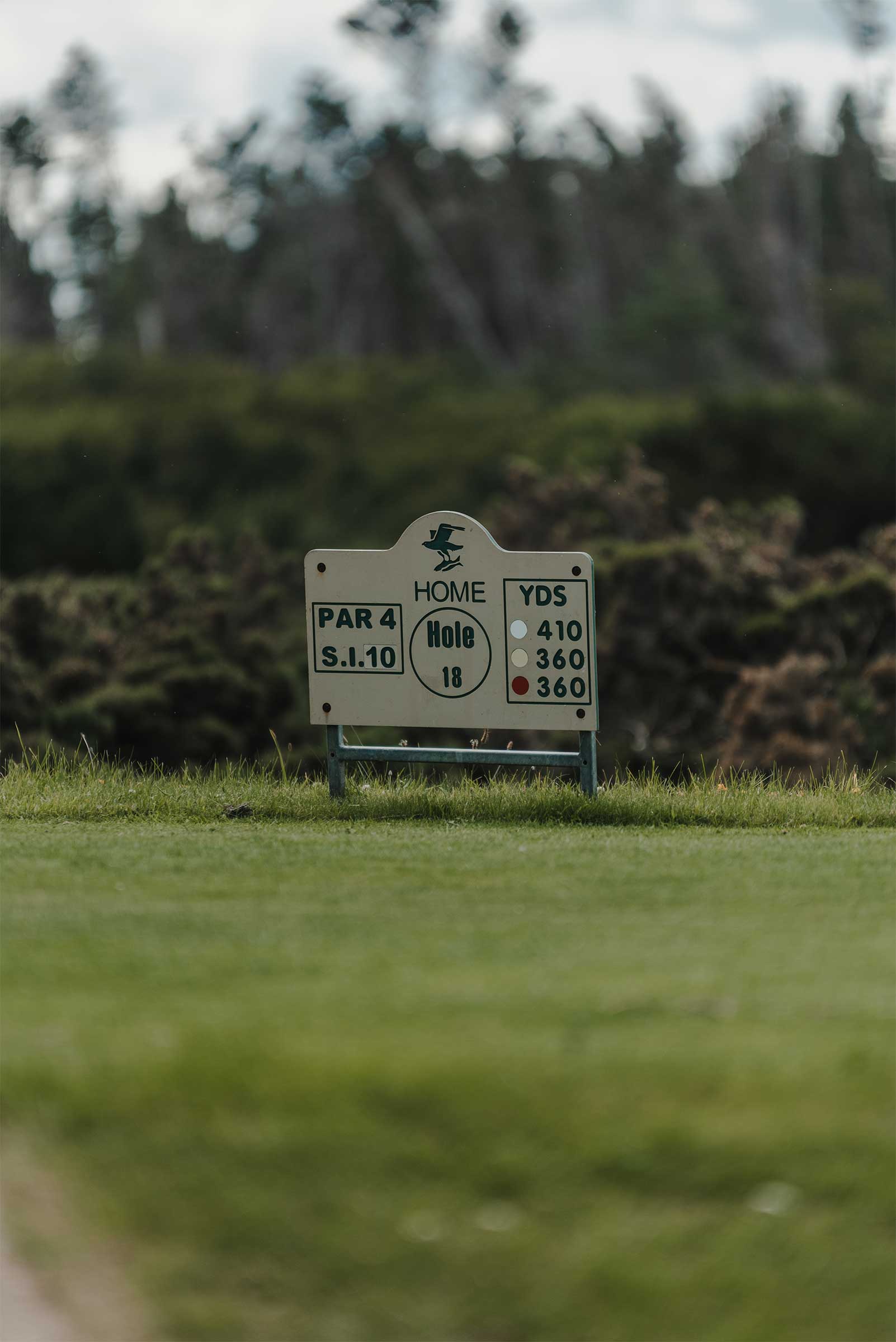 Close-up of 18th hole sign at Spey Bay golf course – A detailed shot of the 18th hole sign at Spey Bay golf course, featuring clear markings and set against a natural backdrop of greenery, highlighting the charm and traditional feel of the course.