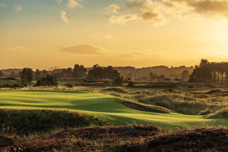 The Hogan | Panmure